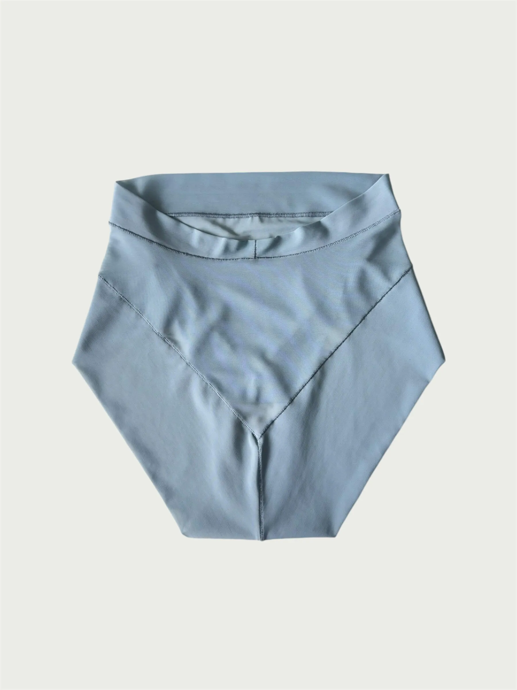 Crystal Cut Mesh Brief in Powder Blue