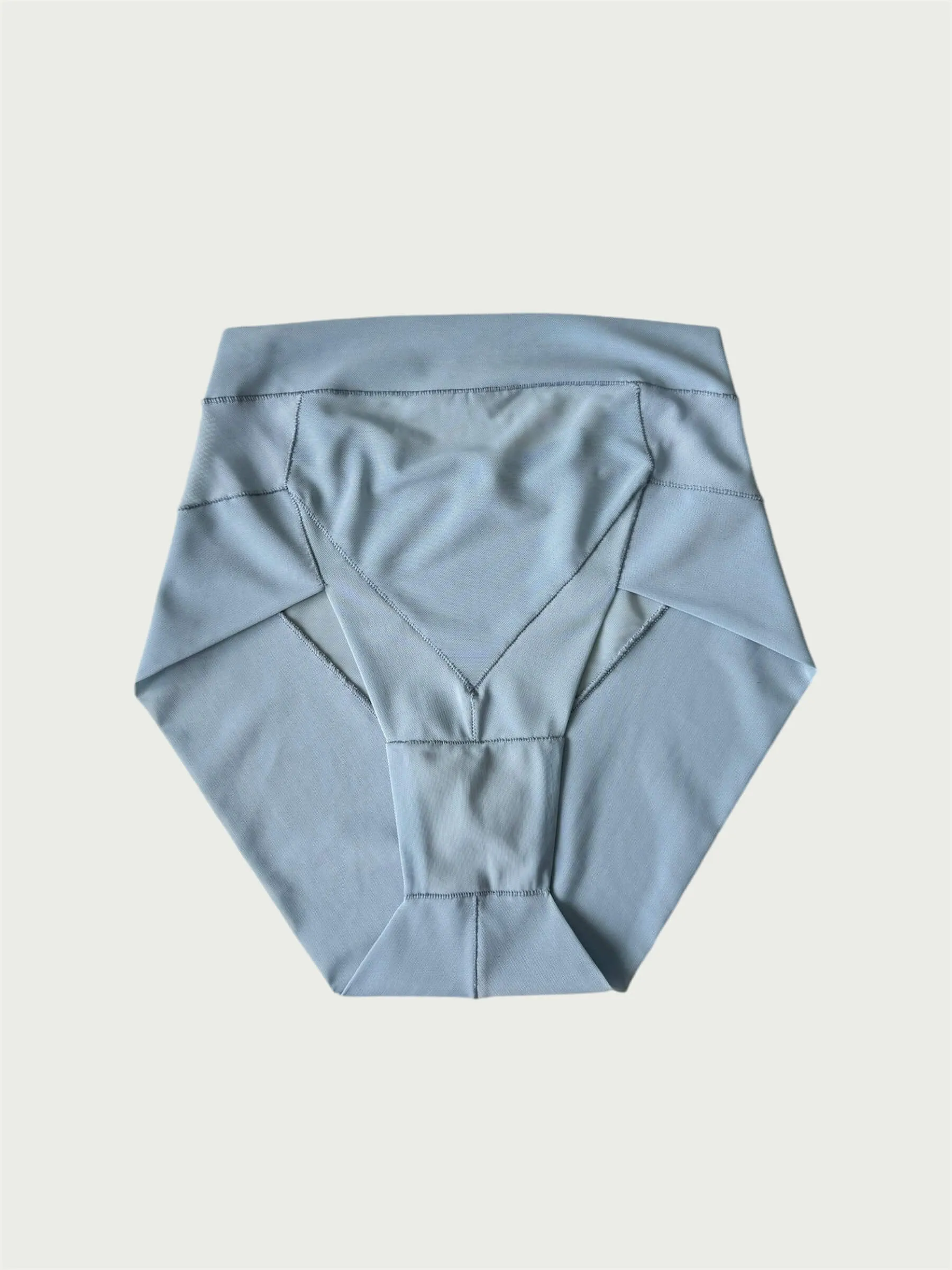 Crystal Cut Mesh Brief in Powder Blue