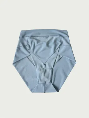 Crystal Cut Mesh Brief in Powder Blue